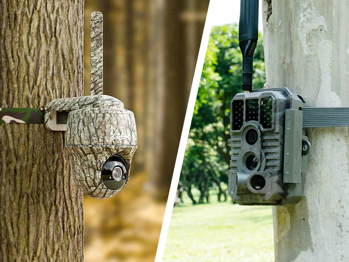 Cellular Trail Cameras: Unlock Real-Time Wildlife Monitoring! – Eiotclub