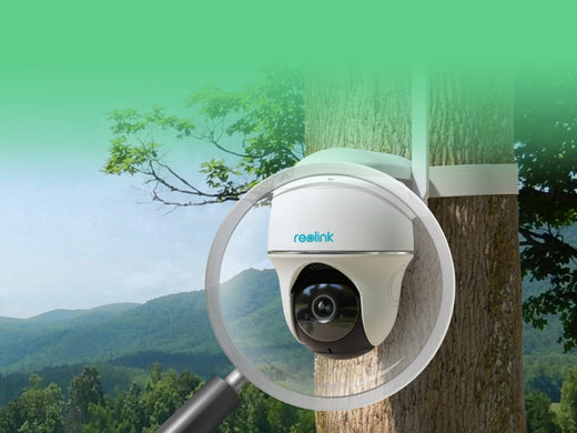 A Reolink security camera mounted on a tree, with a magnifying glass focusing on the device against an outdoor background.