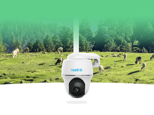 A Reolink security camera superimposed over a field with grazing sheep.