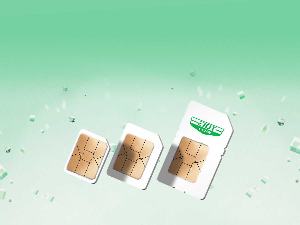 Three different sizes of SIM cards