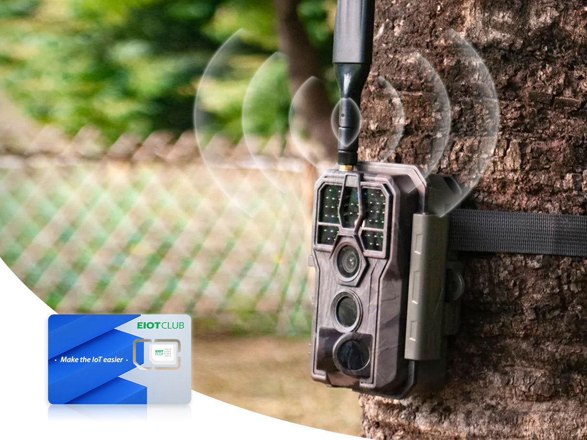 Unleashing the Power of Connectivity: Choosing the Perfect SIM Card for Trail Cameras