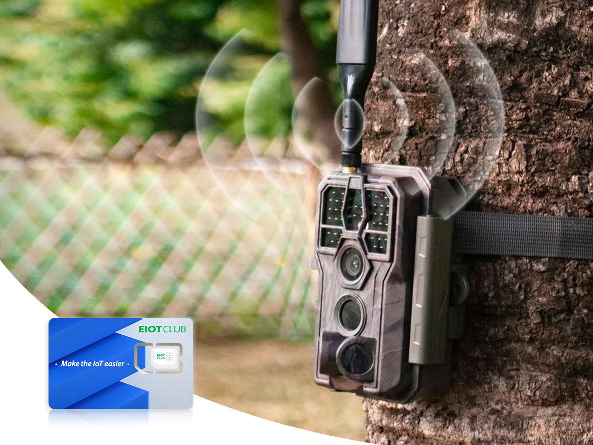 How Do Trail Cameras Work Without Internet? Unveiled Secrets