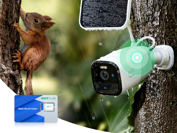 A solar-powered security camera mounted on a wet tree, with a squirrel nearby and an EIOTCLUB SIM card shown.