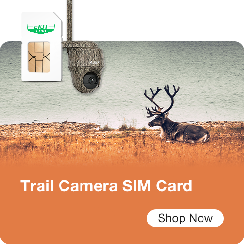 Trail Camera SIM Card
