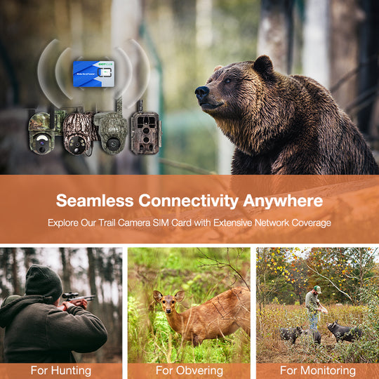 Seamless Connectivity Anywhere