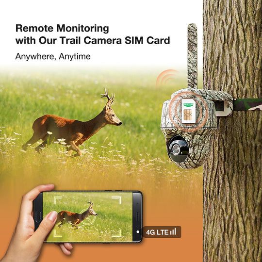 Remote Monitoring with Our Trail Camera SIM Card