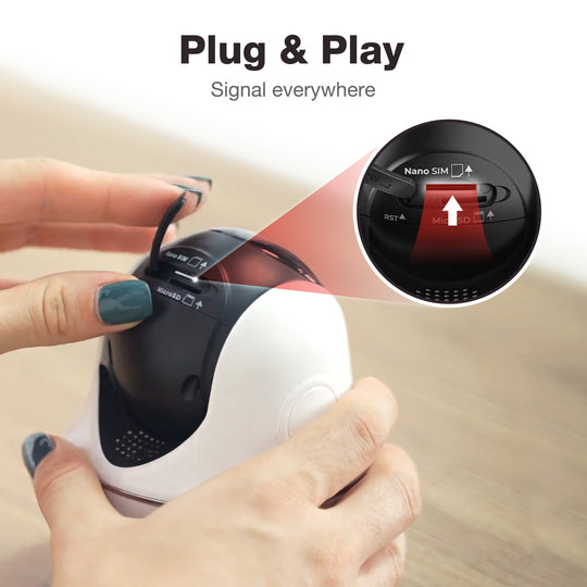 Plug & Play