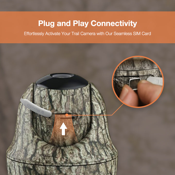 4G dataonly SIM card for trail cameras