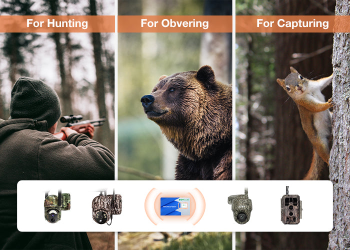 4G dataonly SIM card for trail cameras