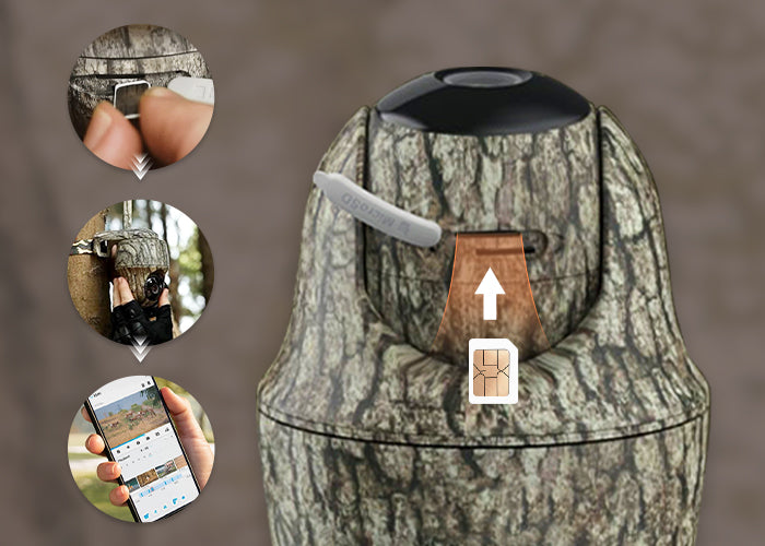4G dataonly SIM card for trail cameras